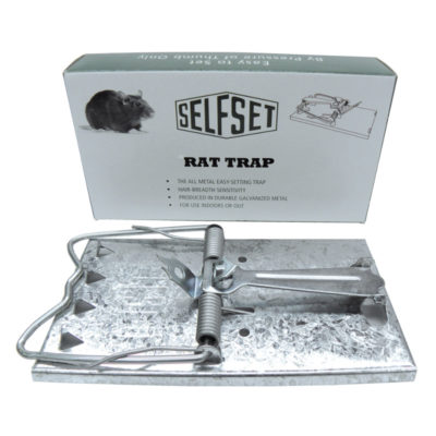 Self Set Rat Trap
