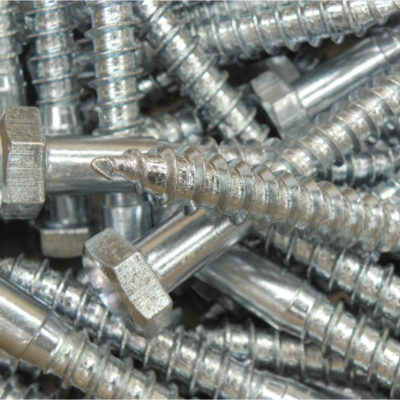 Coach Screws