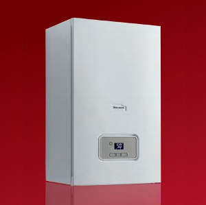 Glow-Worm Energy Regular Boiler