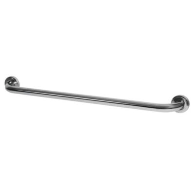 Bisk Grab Rail Stainless Steel 610mm